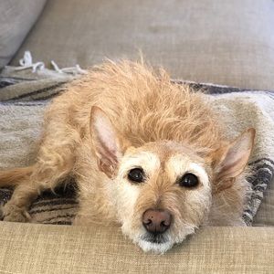 Meet your Posher, Rob